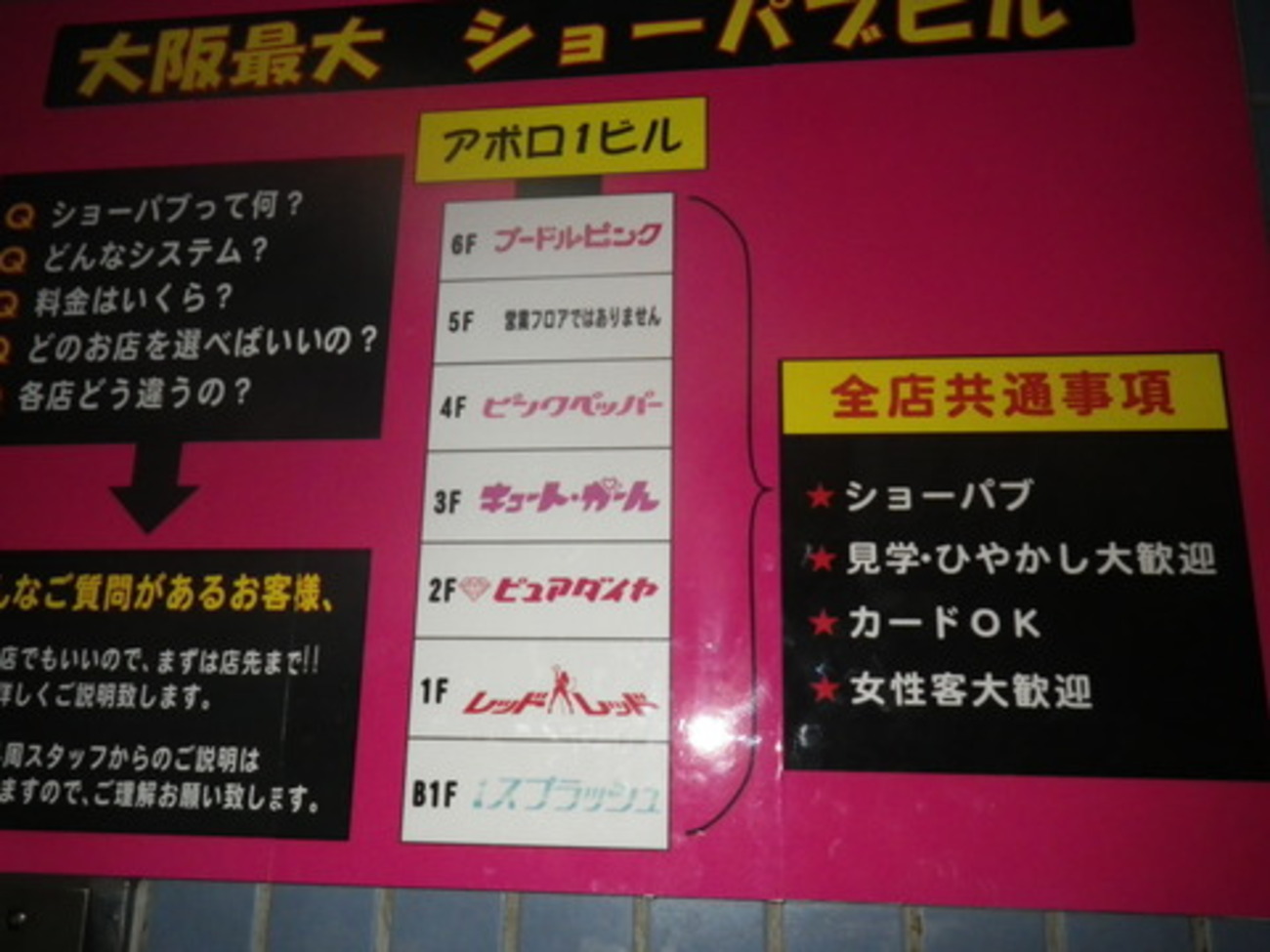 アポロビル 桜川
