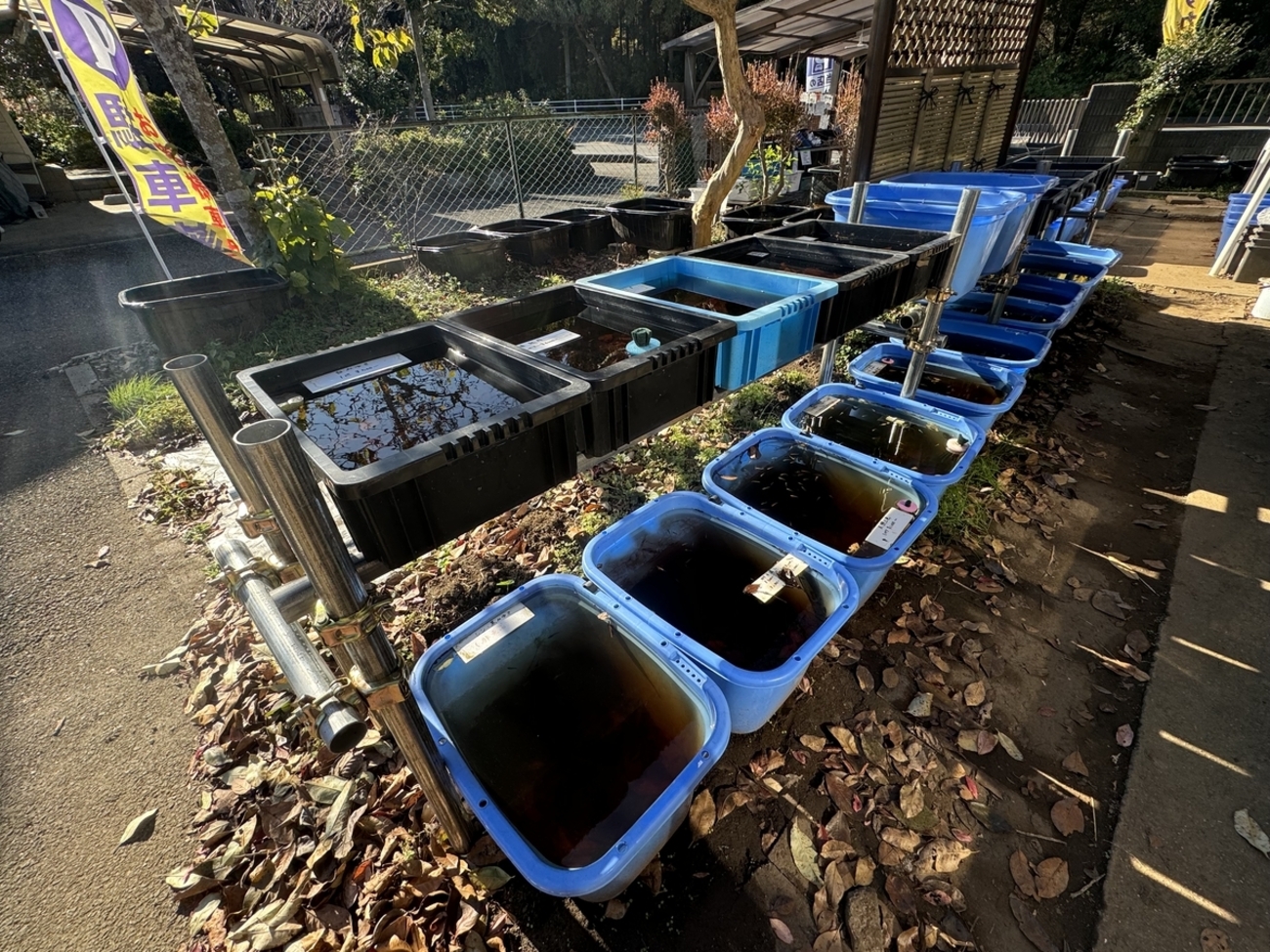 backend=imagemagick;version=1;