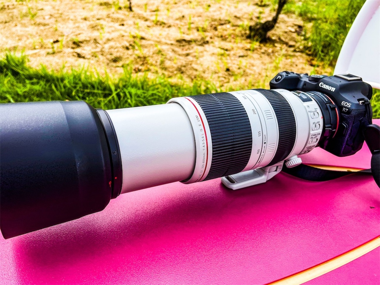 EF100-400mm F4.5-5.6L IS II USM 試し撮り！ - kumasan01のカメラブログ