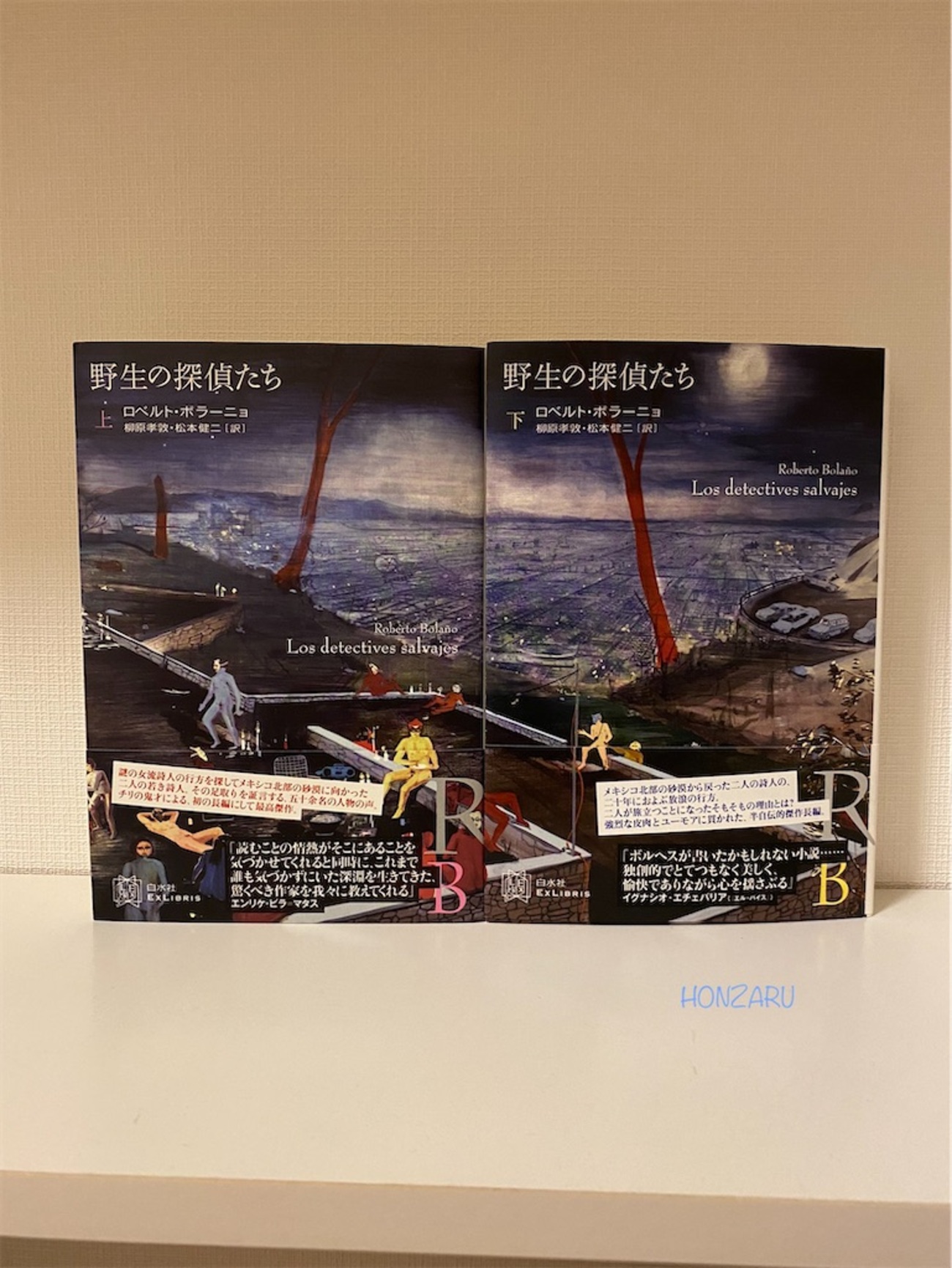 野性の探偵たち』ロベルト・ボラーニョ｜一つの作品で自分の思考が逆転 