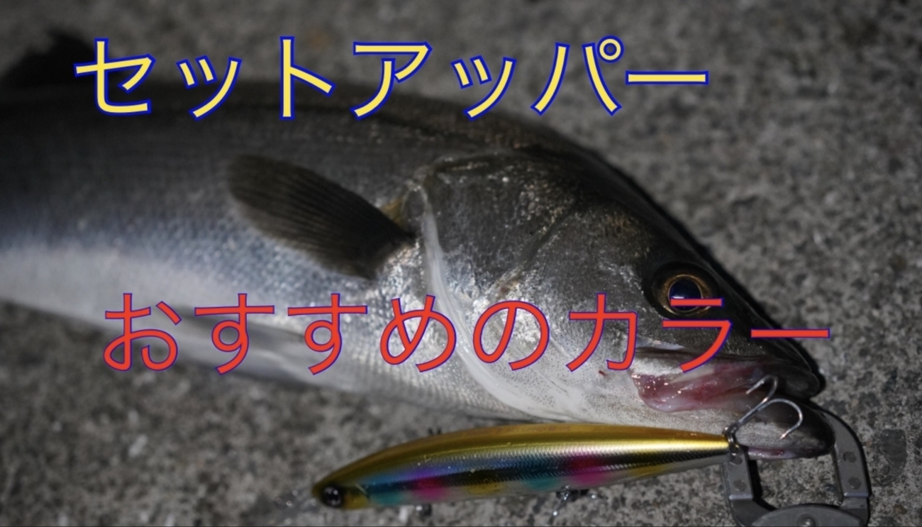 ダイワ セットアッパーおすすめ人気カラー！125S-DR,97S-DR,145S