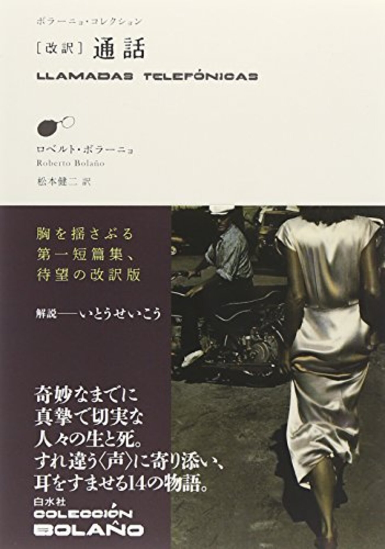 ロベルト・ボラーニョ 野生の探偵たち 上下　セット 白水社　24h以内に発送 野生の探偵たち 上下巻(著：ロベルト・ポラーニョ 訳：松本健二 他