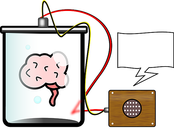 水槽の脳とは 一般の人気 最新記事を集めました はてな 水槽の脳とは 一般の人気 最新記事を集めました はてな