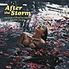 After The Storm (feat. Tyler, The Creator & Bootsy Collins)