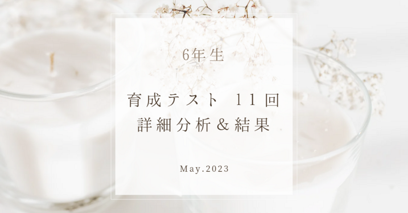 6年生 第11回(5/28) 育成テスト分析＆結果 - 【子育て＆中学受験】共育 