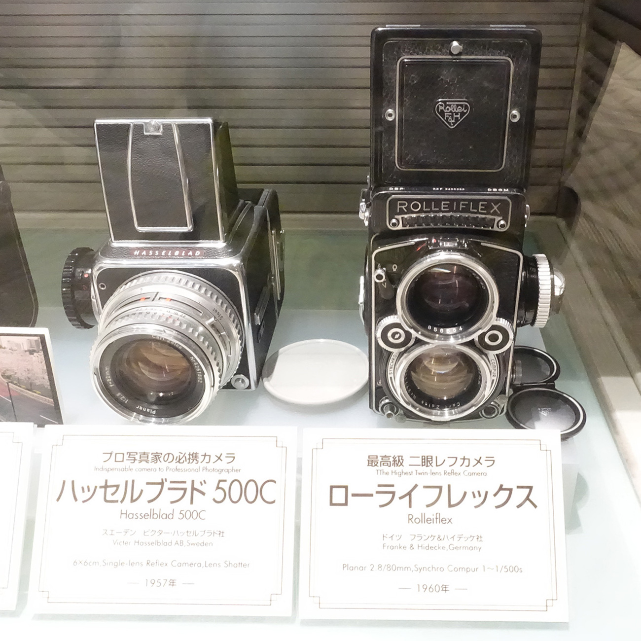 Stern Fotografie 写真史 洋書 ドイツ 初期カメラ backend=imagemagick;version=1;