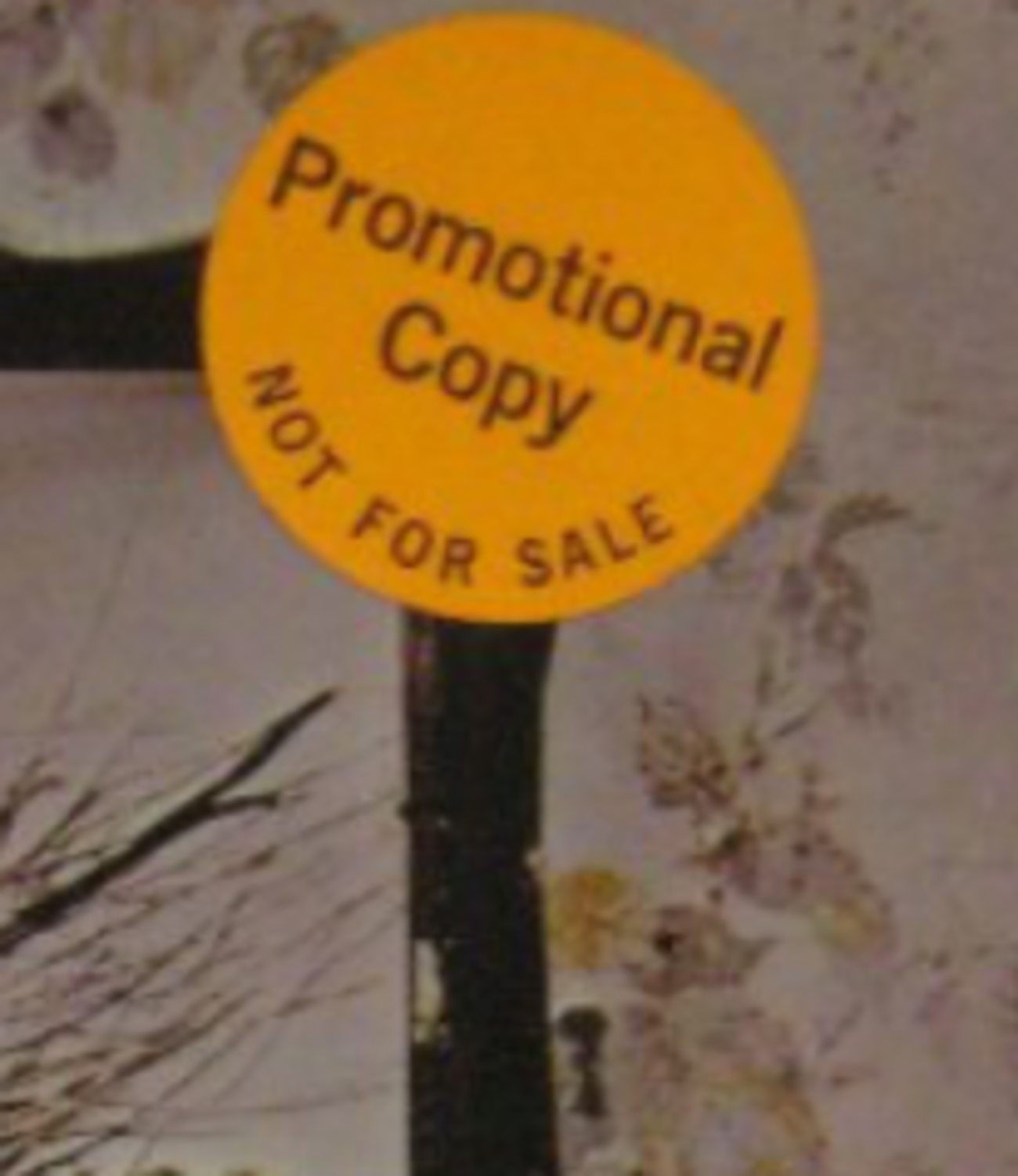 Led Zeppelin III US mono promo 2 - LED ZEPPELIN - CELEBRATION DAYS
