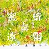 春と修羅(栄伝亜夜ヴァージョン)