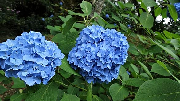 長弓寺とは 人気 最新記事を集めました はてな