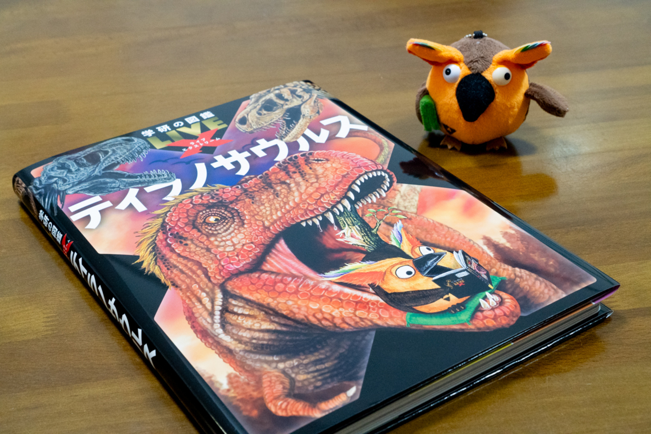 backend=imagemagick;version=1; 