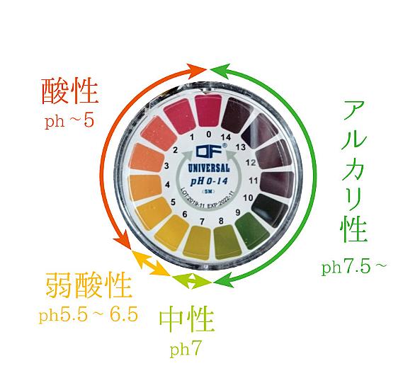 Ph試験紙とは 人気 最新記事を集めました はてな