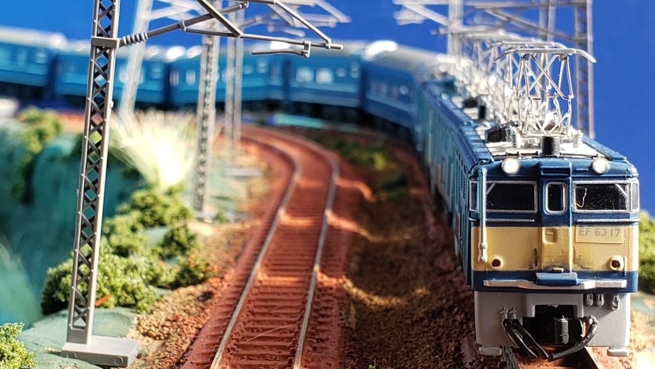 24系寝台特急あけぼの編成 整備 [鉄道模型] | 重単5175 ～鉄道