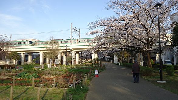 東綾瀬とは 地理の人気 最新記事を集めました はてな 東綾瀬とは 地理の人気 最新記事を集めました はてな