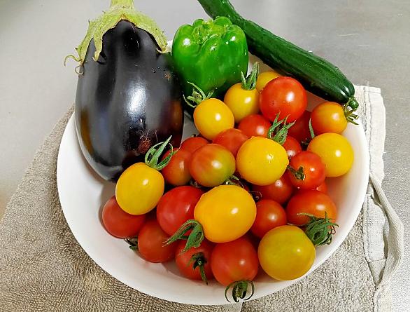 プチトマトとは 動植物の人気 最新記事を集めました はてな