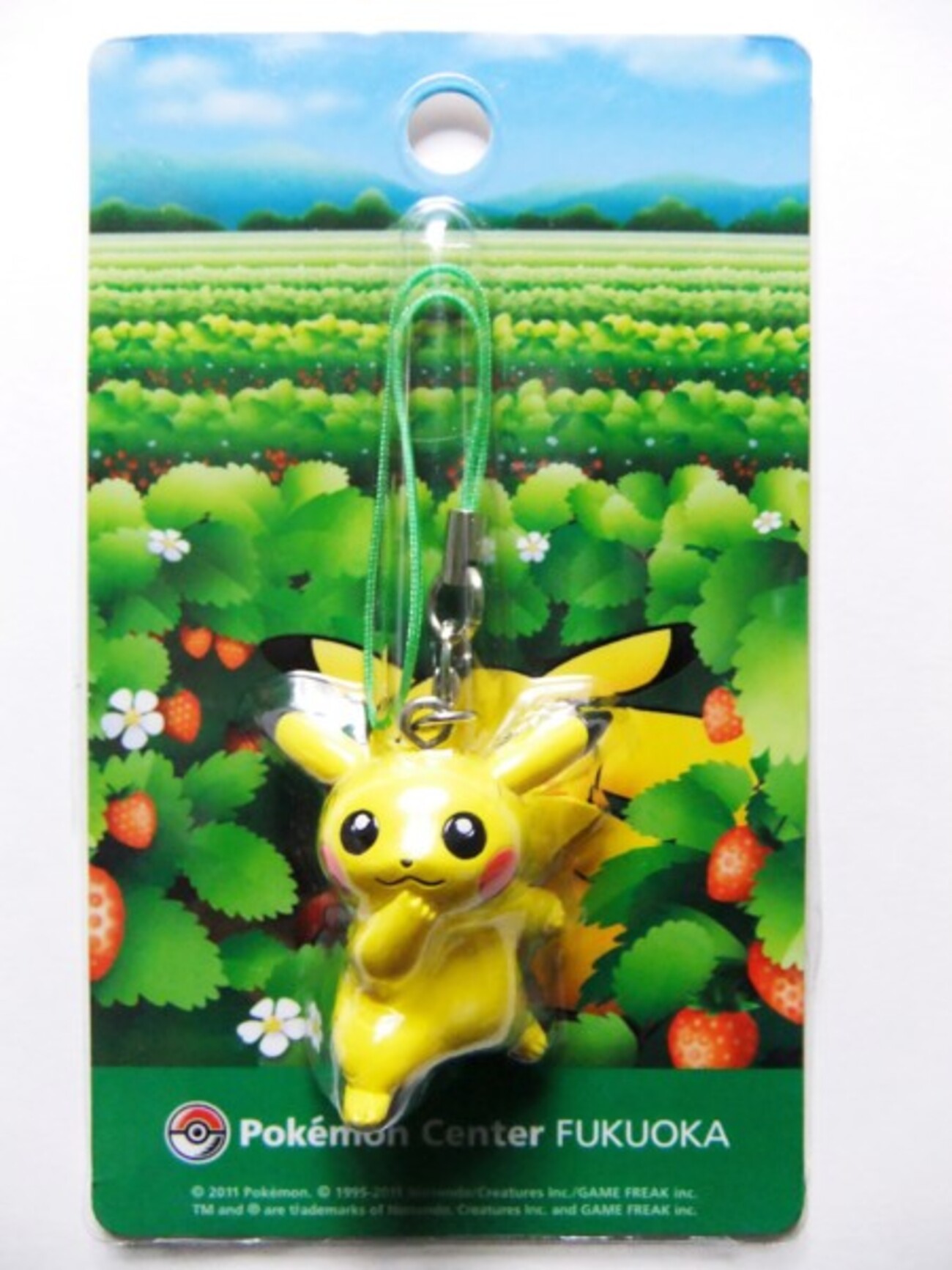 購入】ポケモンセンターフクオカ限定 ピカチュウかくれんぼチュウ(2011 