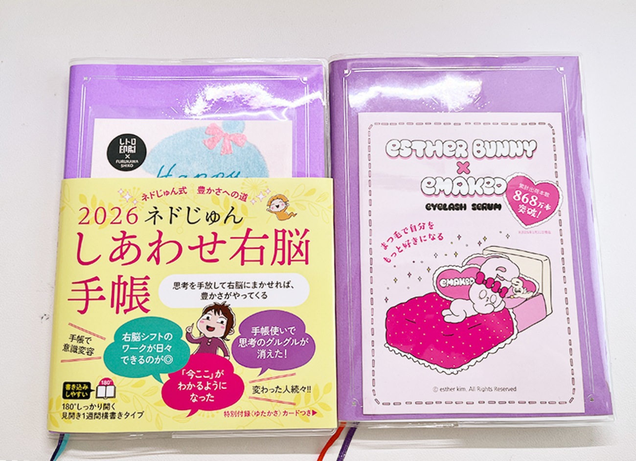 ネドじゅんさんの「しあわせ右脳手帳」で気づいた、“がんばらない”手帳