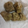 白トリュフのシーズン始まりました。