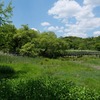 兵庫県）仁川駅→甲山森林公園→なかよし池→広河原。野鳥、キビタキ、センダイムシクイ、コゲラ。