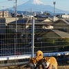 静岡県立大学と美術館