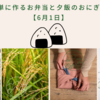 簡単に作るお弁当と夕飯のおにぎり【6月1日】
