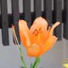 ご近所さんの華やかな玄関先