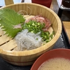 漁港で生しらすと生さくらえびを食べてみた