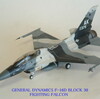 作品２７１　General Dynamics F-16D Block 30 Fighting Falcon