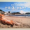 「世界ネコ歩き」の写真展に行ってみた