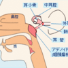 総合病院（各種検査）と上咽頭癌の可能性