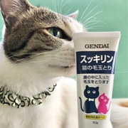 ふうちゃん カテゴリーの記事一覧 はる蔵の水槽