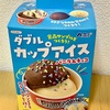 【食品サンプル】ダブルカップアイス