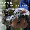 蛇蝎のごとく嫌われる？