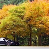 【Alfa Romeo】 4C 全集中