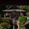 龍泉寺　厄除海運大師