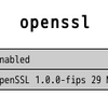 PHP4.4.9でopenssl1.0.0以上が入らない