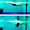 昼間のスイム