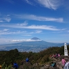 金時山から明神ヶ岳へ