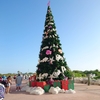 WDWとDisney Wish 2022（2.スケジュール）