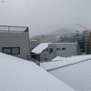 記録的大雪