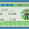 【ポケモンRS】ID調整自動化