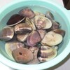 いただき物「海の幸・畑の幸」