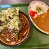 だるま堂本店（松戸市 北国分駅）春菊天うどん＋ミニホルモンカレー  
