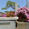 名勝つつじが岡公園