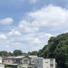 久々の朝からお天気恵まれる