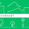 【エシカル暮らし】オススメの全身シャンプー