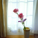 Castle Rock Photography