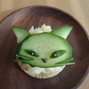 おうちで猫カフェ＆Barめにゅう の にゃいであvol.８