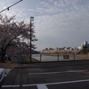 桜橋