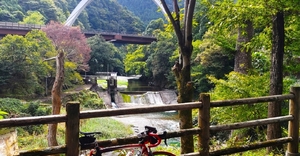 【行ったつもりシリーズ】「多摩東京移管130周年デジタルスタンプラリー」に自転車で挑戦！（8）秋川渓谷から日の出町の大仏へ