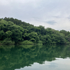ブラックバス釣行記　相模湖　2025年6月8日